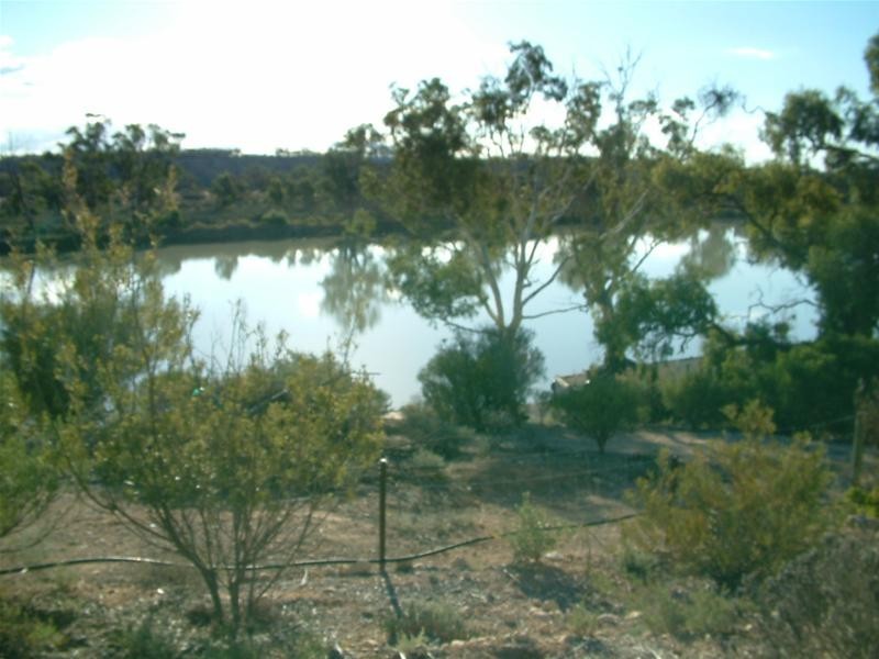 Section 453 Hermanns Landing Road, Nildottie SA 5238