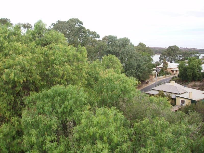 17 River Lane, Mannum SA 5238