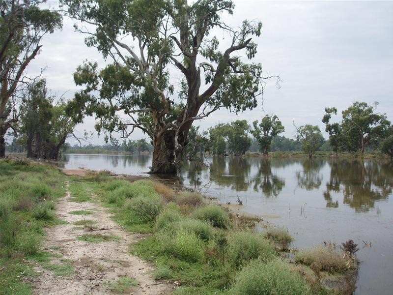 123 Murraylands Road, Blanchetown SA 5357