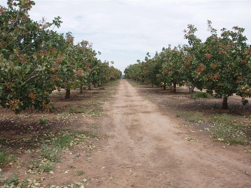 123 Murraylands Road, Blanchetown SA 5357