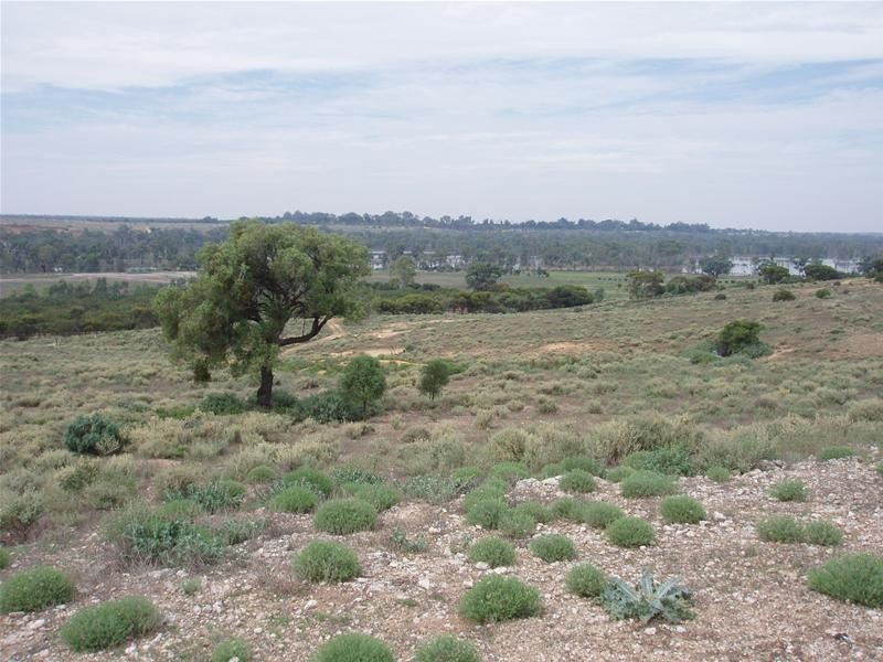 123 Murraylands Road, Blanchetown SA 5357