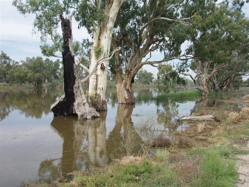 123 Murraylands Road, Blanchetown SA 5357