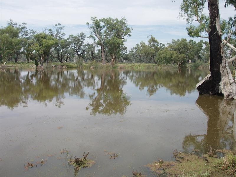 123 Murraylands Road, Blanchetown SA 5357