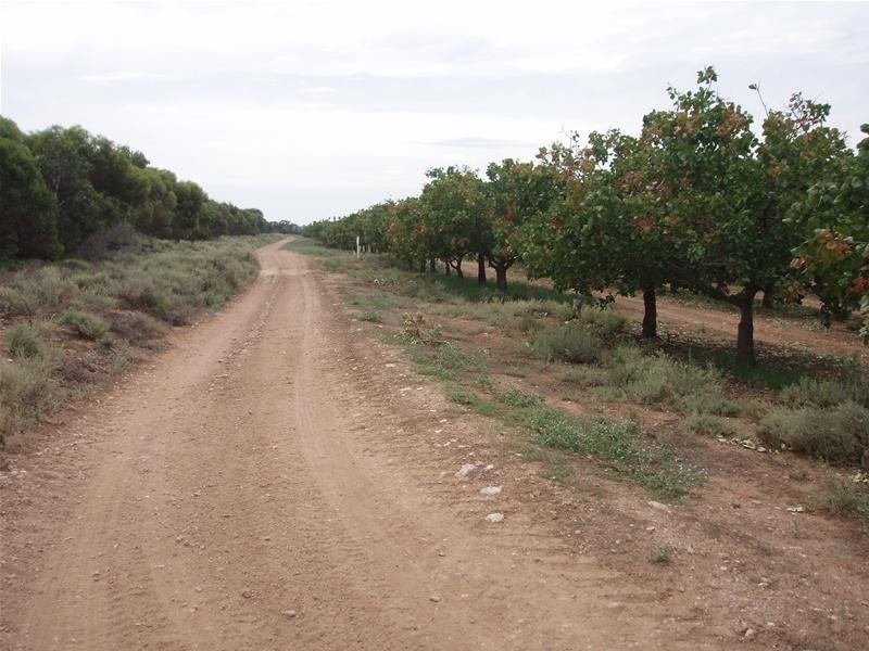 123 Murraylands Road, Blanchetown SA 5357