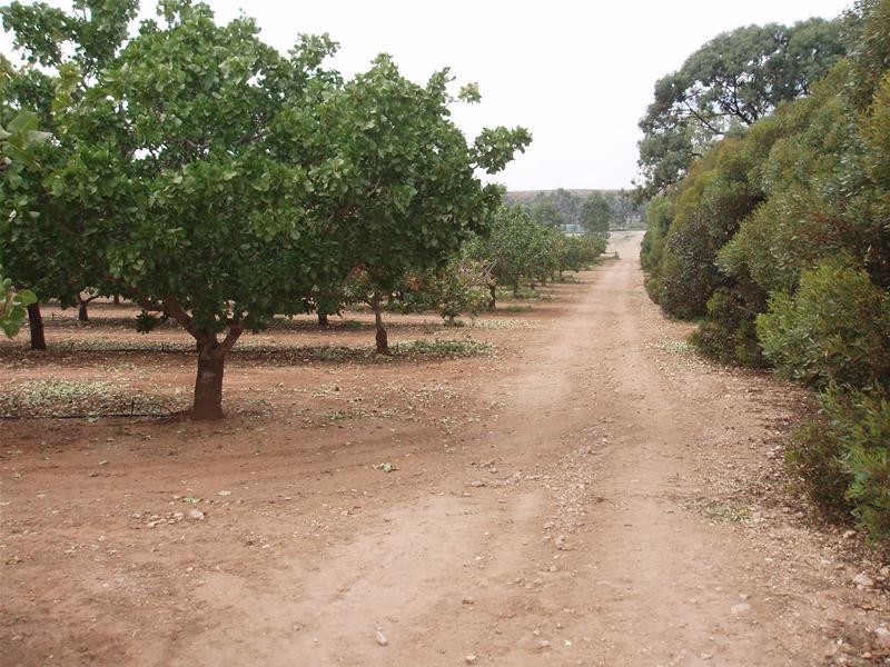 123 Murraylands Road, Blanchetown SA 5357