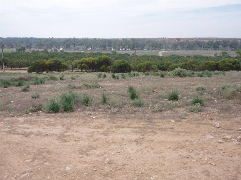 123 Murraylands Road, Blanchetown SA 5357