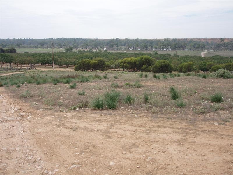 123 Murraylands Road, Blanchetown SA 5357