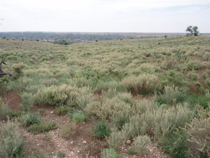 123 Murraylands Road, Blanchetown SA 5357