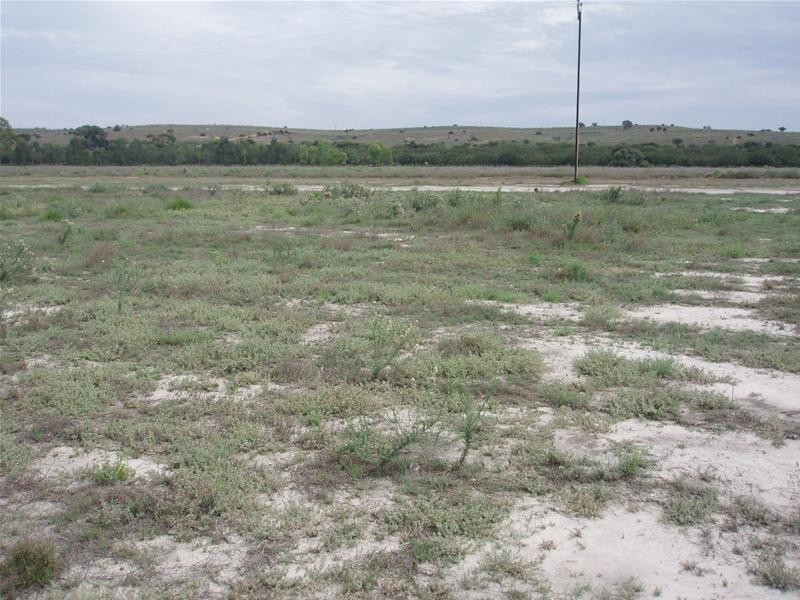 123 Murraylands Road, Blanchetown SA 5357