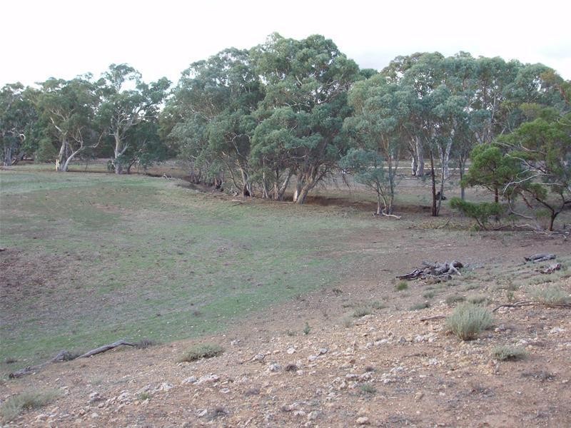 Section 377 Black Hill Road, Cambrai SA 5353