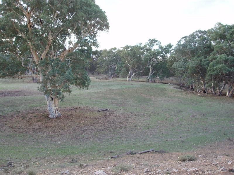 Section 377 Black Hill Road, Cambrai SA 5353