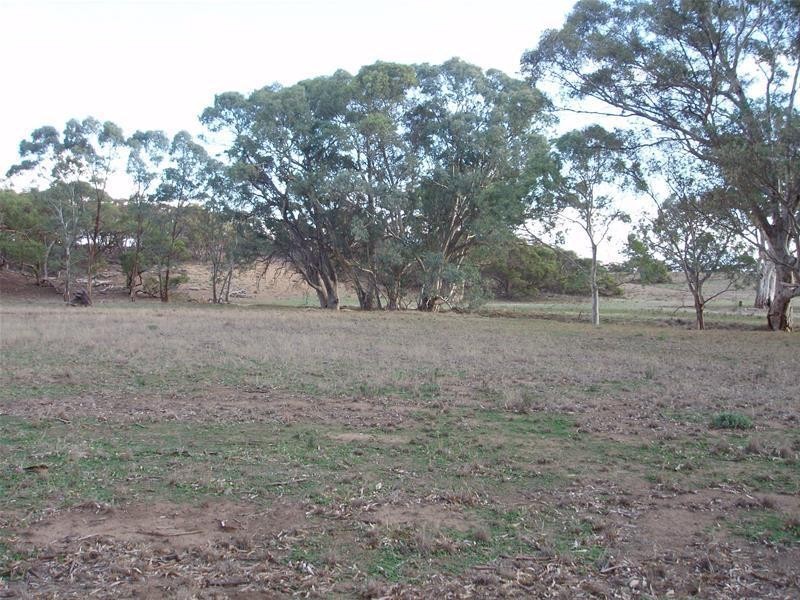Section 377 Black Hill Road, Cambrai SA 5353