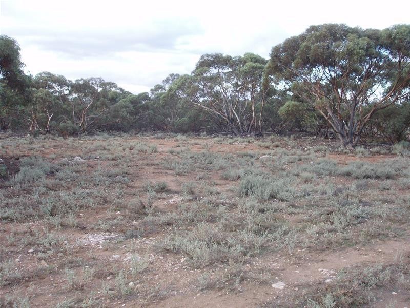 Section 377 Black Hill Road, Cambrai SA 5353