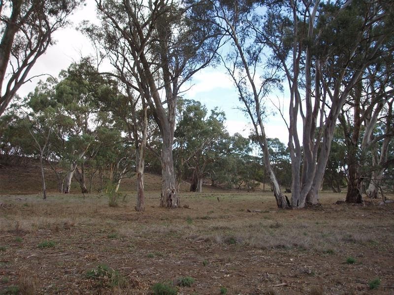 Section 377 Black Hill Road, Cambrai SA 5353