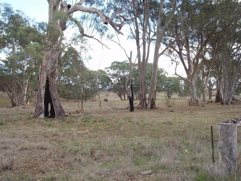 Section 377 Black Hill Road, Cambrai SA 5353