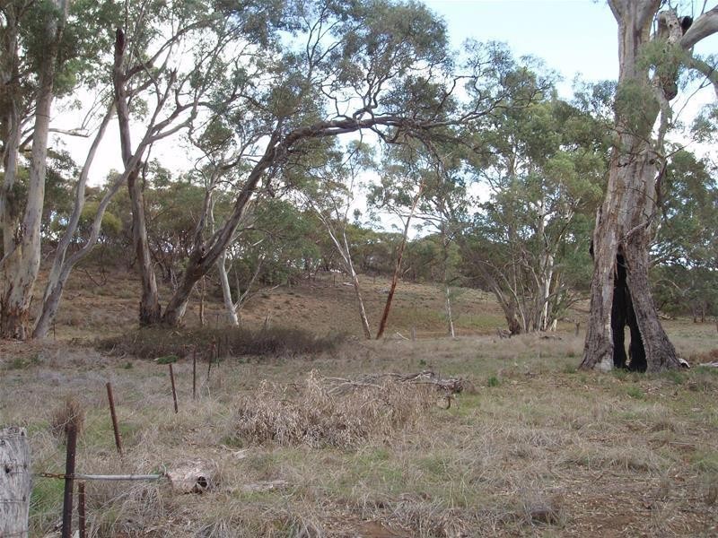 Section 377 Black Hill Road, Cambrai SA 5353