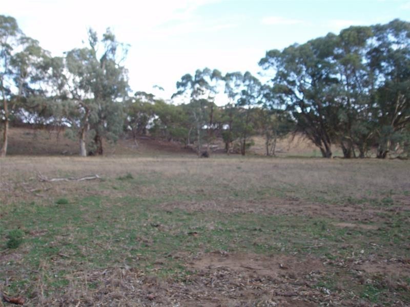 Section 377 Black Hill Road, Cambrai SA 5353
