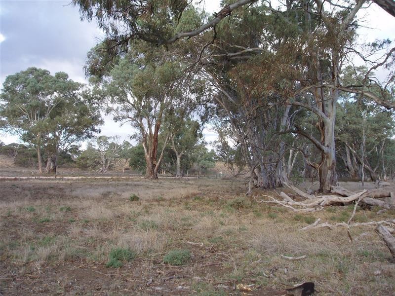 Section 377 Black Hill Road, Cambrai SA 5353