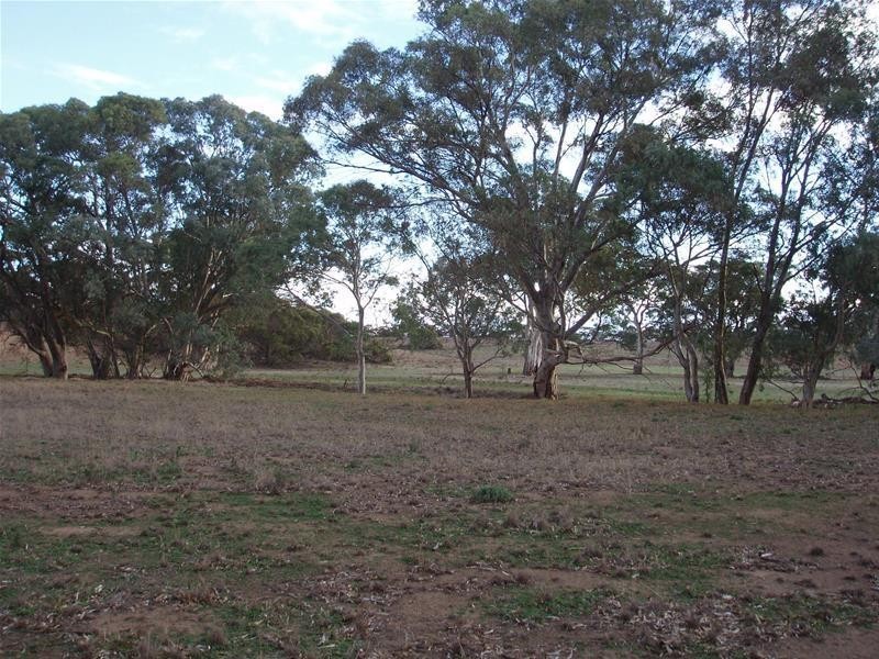 Section 377 Black Hill Road, Cambrai SA 5353