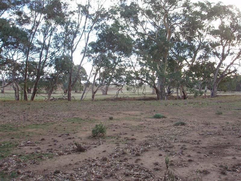 Section 377 Black Hill Road, Cambrai SA 5353