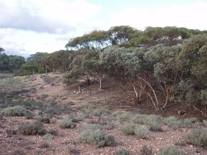 Section 377 Black Hill Road, Cambrai SA 5353