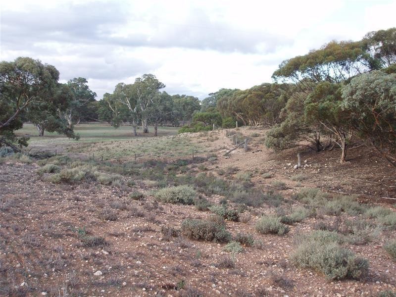 Section 377 Black Hill Road, Cambrai SA 5353