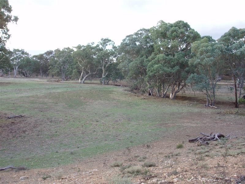 Section 377 Black Hill Road, Cambrai SA 5353