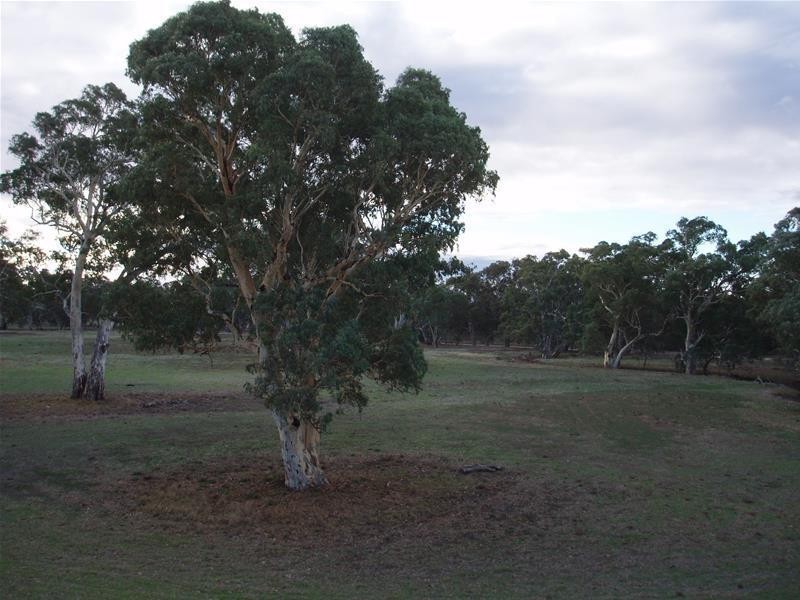 Section 377 Black Hill Road, Cambrai SA 5353