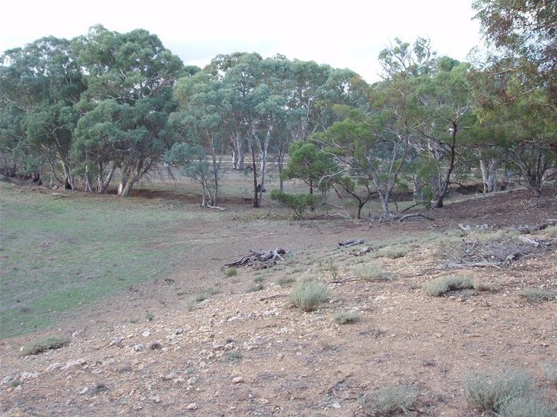 Section 377 Black Hill Road, Cambrai SA 5353