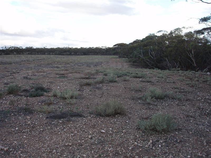 Section 377 Black Hill Road, Cambrai SA 5353