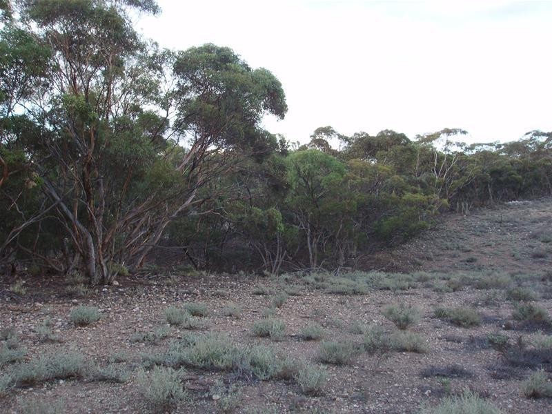 Section 377 Black Hill Road, Cambrai SA 5353