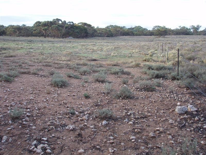 Section 377 Black Hill Road, Cambrai SA 5353