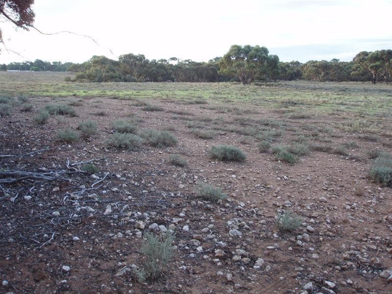 Section 377 Black Hill Road, Cambrai SA 5353