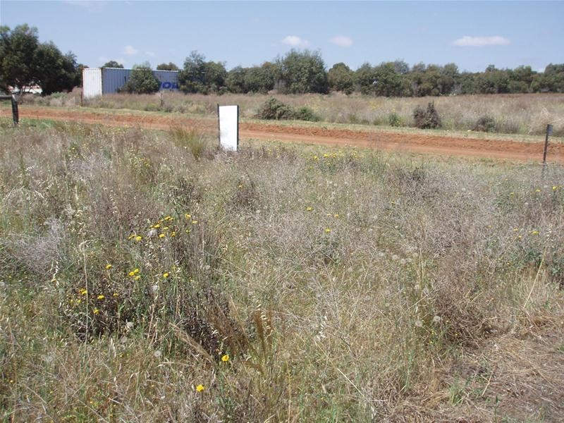 29 Martha Street, Caloote SA 5254