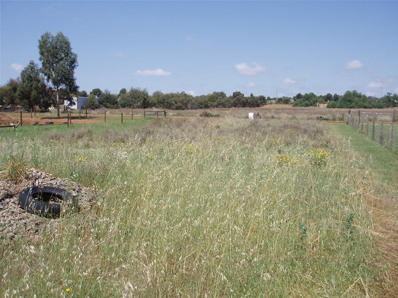 29 Martha Street, Caloote SA 5254