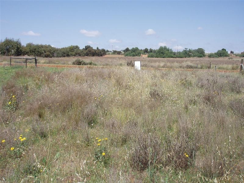 29 Martha Street, Caloote SA 5254