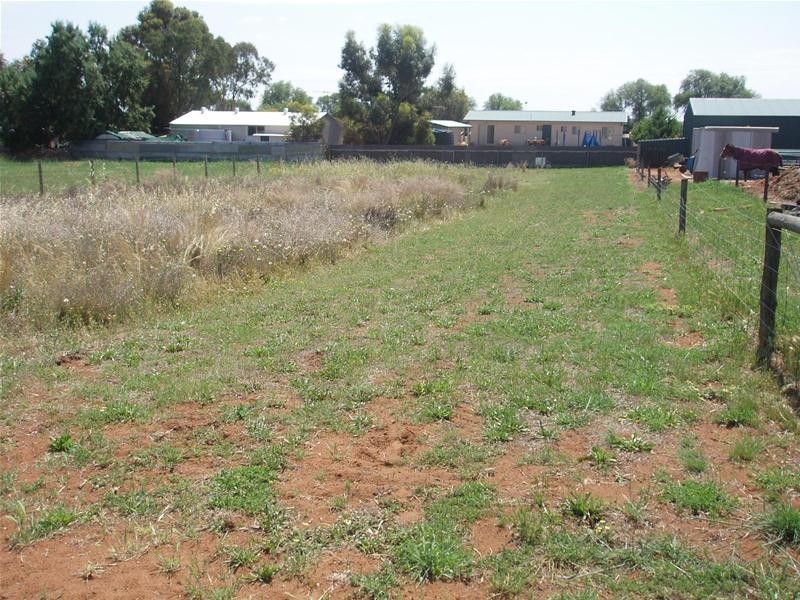 29 Martha Street, Caloote SA 5254