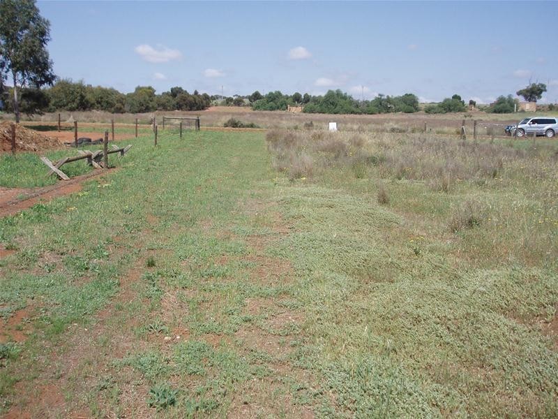 29 Martha Street, Caloote SA 5254