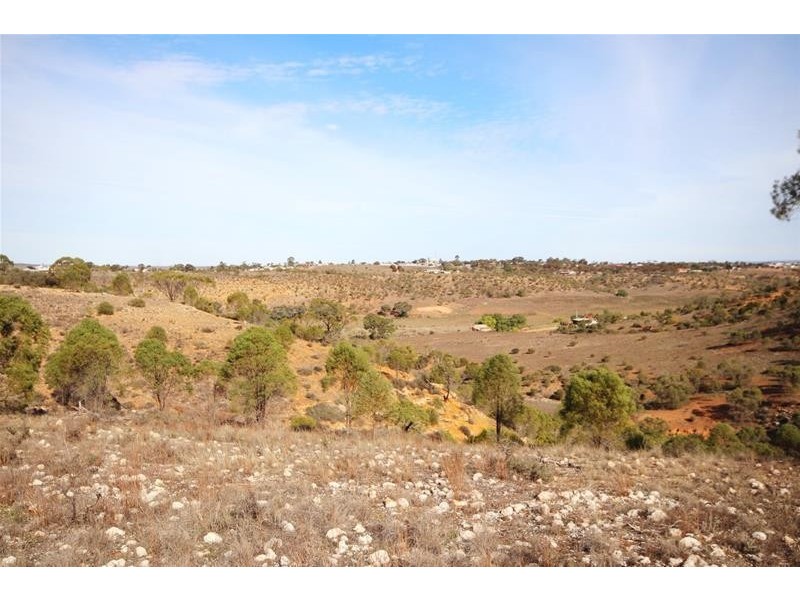 16 Omega Road, Mannum SA 5238