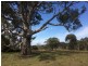 Lot 3 Church Road, Springton SA 5235
