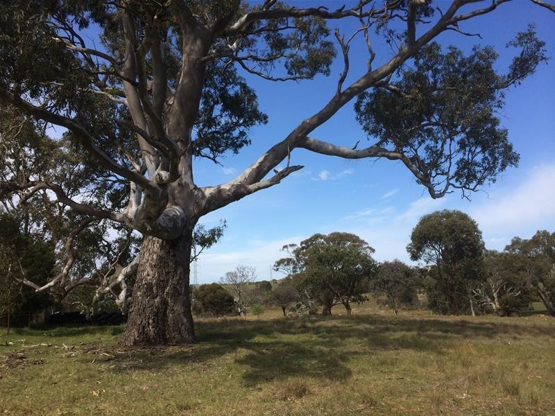 Lot 3 Church Road, Springton SA 5235