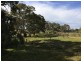 Lot 3 Church Road, Springton SA 5235