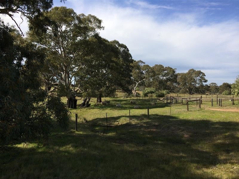 Lot 3 Church Road, Springton SA 5235