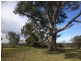 Lot 3 Church Road, Springton SA 5235