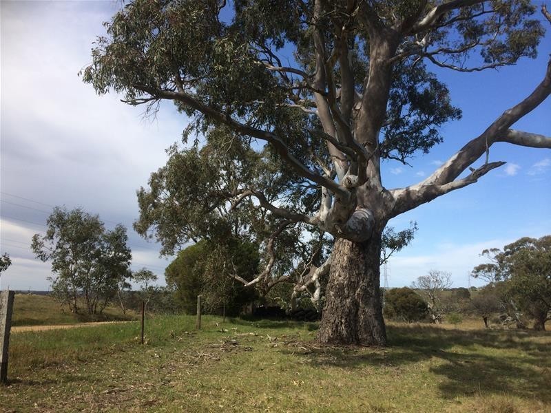 Lot 3 Church Road, Springton SA 5235