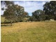 Lot 3 Church Road, Springton SA 5235