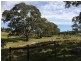Lot 3 Church Road, Springton SA 5235