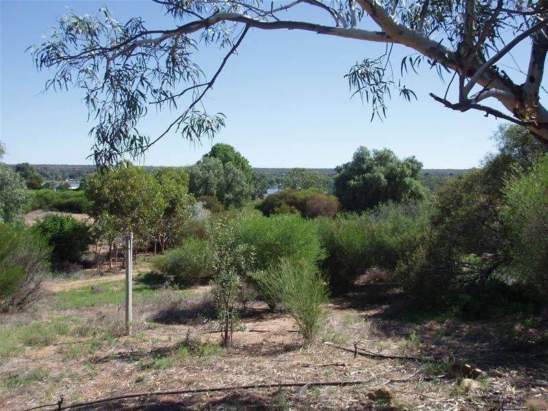 15 Nildottie Road, Swan Reach SA 5354