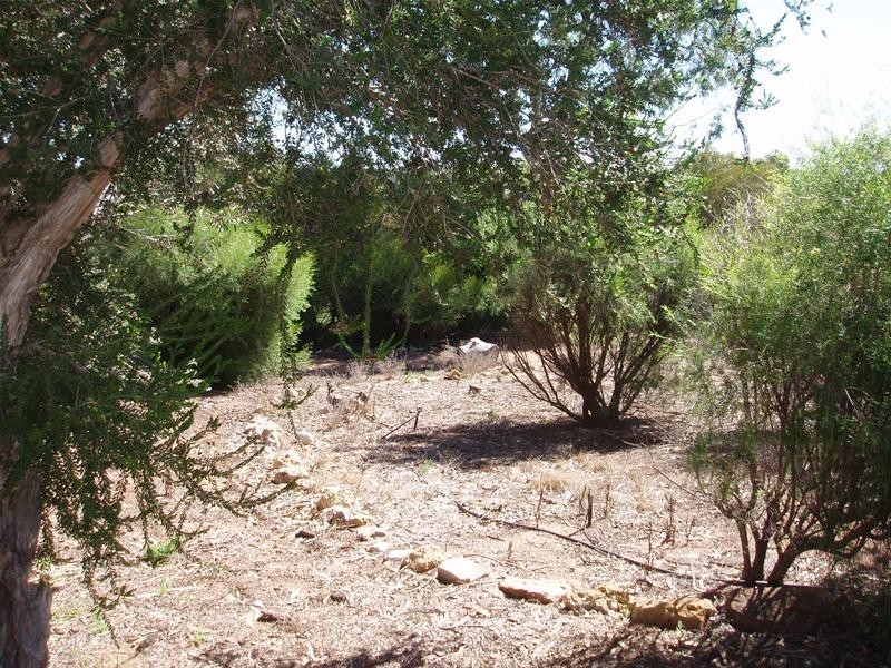 15 Nildottie Road, Swan Reach SA 5354