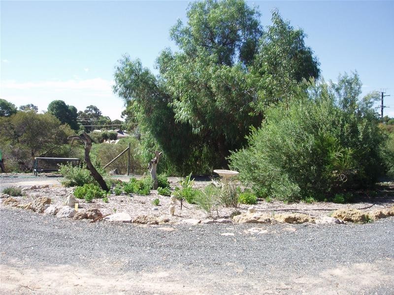 15 Nildottie Road, Swan Reach SA 5354